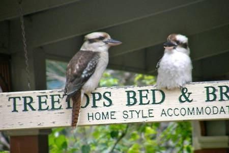 Treetops Bed & Breakfast Blackburn Exteriér fotografie